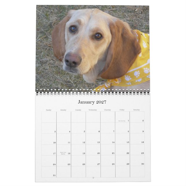 Wally der Wunder-Hund 2009 Kalender (Jan 2027)