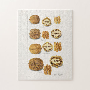Walnüsse (Juglans) Früchte Aquarellmalerei Jigsaw