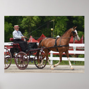 Walnut Hill Carriage Driving Horse Show Poster