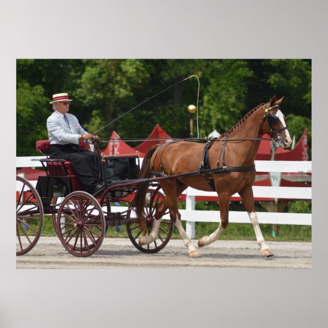 Walnut Hill Carriage Driving Horse Show Poster (Vorne)