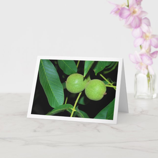 Walnut Tree Portrait Karte (Orchidee)