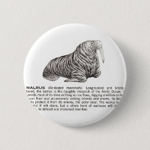 Walroß Button