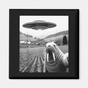 Walross-Selfie mit UFO lustige Walross-Frau Mann K Magnet
