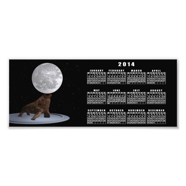 Walrus Balancing the Moon Fotodruck (Vorne)