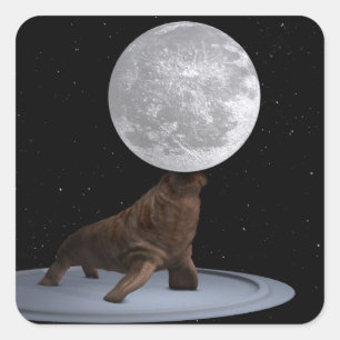 Walrus Balancing the Moon Quadratischer Aufkleber