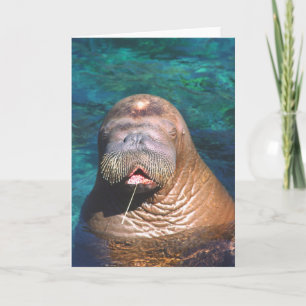 Walrus Eyes Carte de note fermée