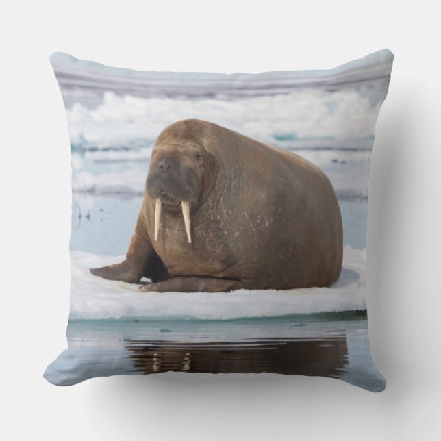 Walrus ruht auf Eis, Norwegen Kissen (Vorderseite)