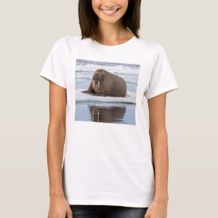 Walrus ruht auf Eis, Norwegen T-Shirt