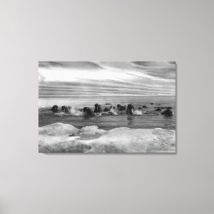 Walrus unter den Eisschollen in der Beringsee Leinwanddruck