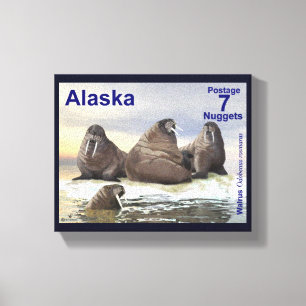 Walrus - Vier Brüder - Alaska Postage Leinwanddruck