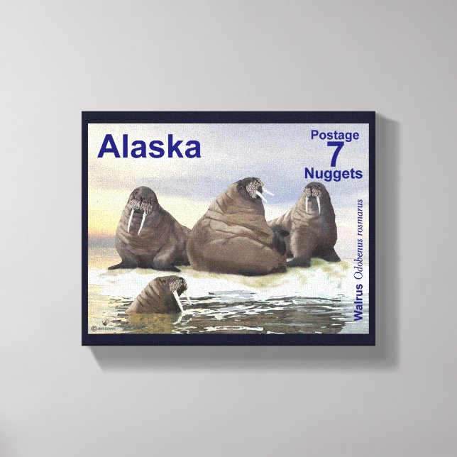 Walrus - Vier Brüder - Alaska Postage Leinwanddruck (Vorderseite)