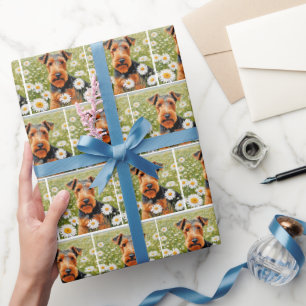 Walsh Terrier auf dem Daisy Field Geschenkpapier
