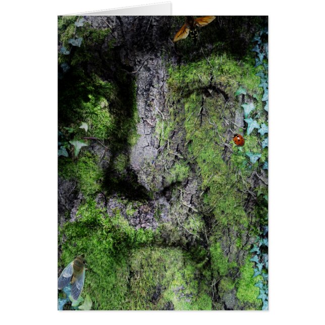 "Walt Whitman: Der Grüne Mann" (Vorne)
