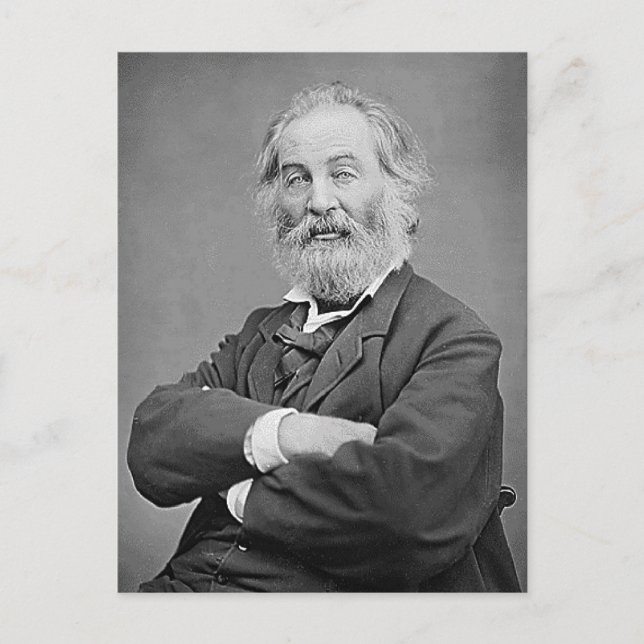 Walt Whitman sitzt Portrait Fotograf Alter 47 Postkarte (Vorderseite)