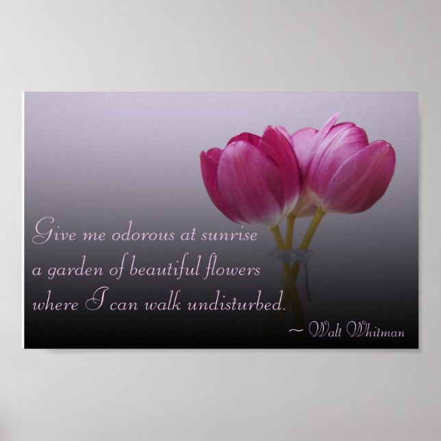 Walt Whitman Tulips Poster (Vorne)