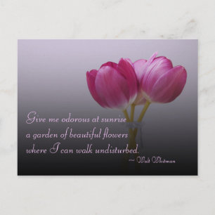 Walt Whitman Tulpen Postkarte