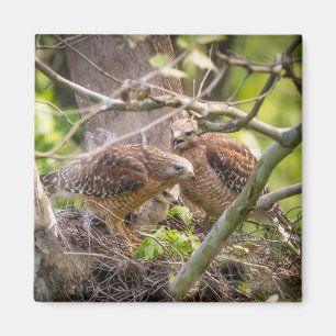 Walter le Magnet de l'Épaule rouge