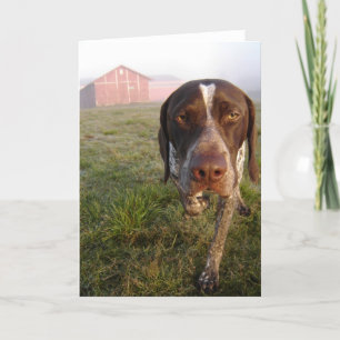 Walter-Scheune Notecard Karte