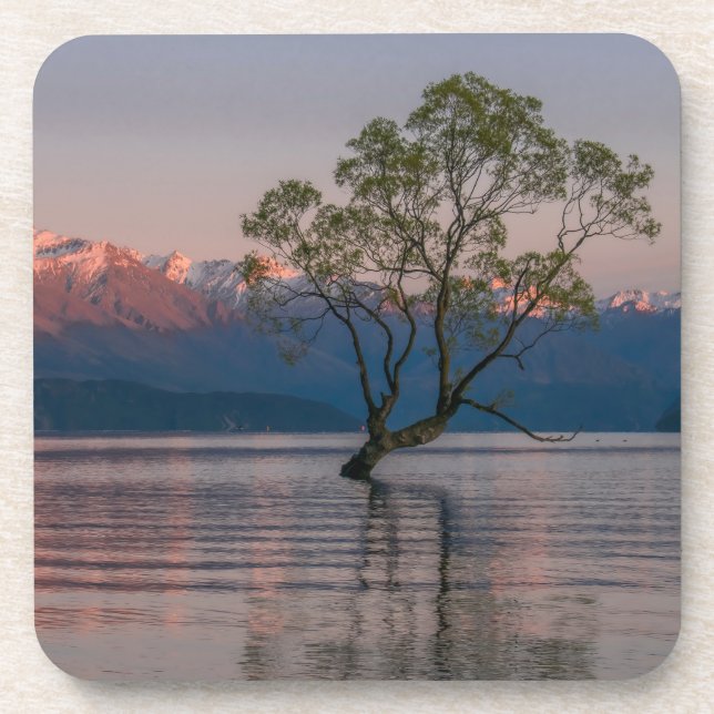 Wanaka Tree, neuseeländische Untersetzer (Vorderseite)