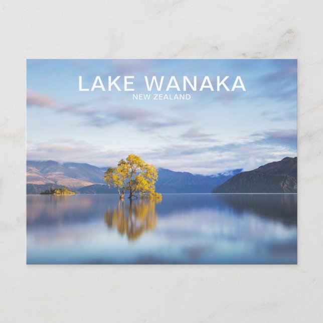 Wanaka Tree New Zealand Travel Postcard Postkarte (Vorderseite)