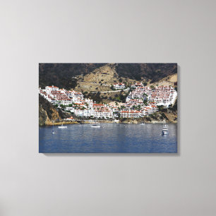 Wand-Kunst-Catalina-Insel Leinwanddruck
