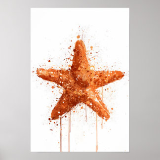 Wandbild 'Seestern' mit Meereskreaturen Poster