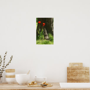 Wanddruck mit roten Tulpen am Baumstamm Poster