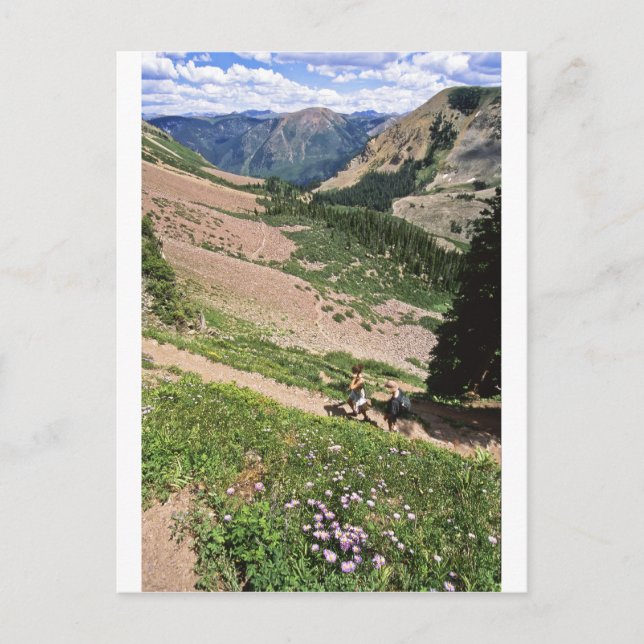 Wanderer in Rockies Aspen CO Postkarte (Vorderseite)