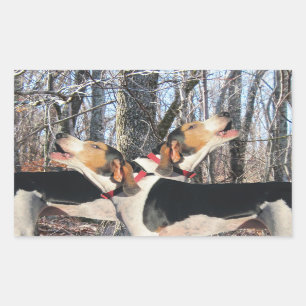 Wanderercoonhound-Aufkleber HeulensTreeing Rechteckiger Aufkleber
