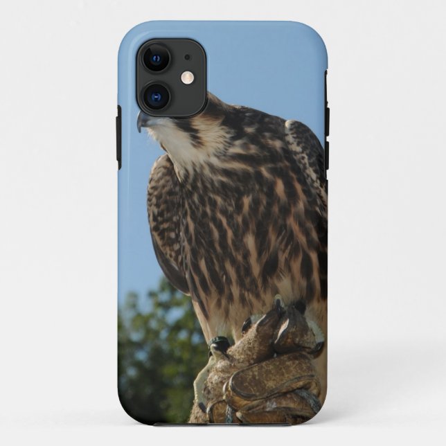 Wanderfalke Case-Mate iPhone Hülle (Rückseite)