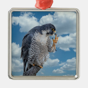 Wanderfalke entlang des Hudson River Ornament Aus Metall