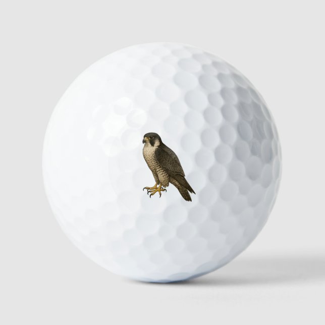 Wanderfalke Golfball (Vorderseite)