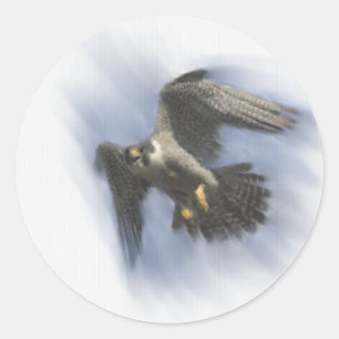 Wanderfalke im Flug Runder Aufkleber