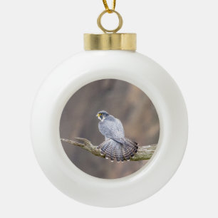 Wanderfalke im Palisades Interstate Park Keramik Kugel-Ornament