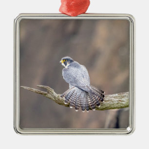 Wanderfalke im Palisades Interstate Park Silbernes Ornament
