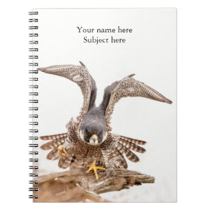 Wanderfalke Notizblock