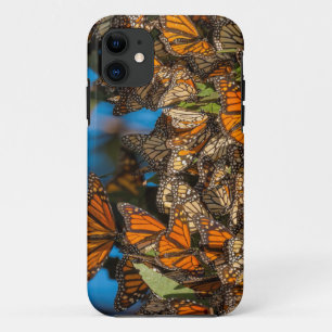 Wanderfalter-Monarchschmetterlinge klammern sich a iPhone 11 Hülle