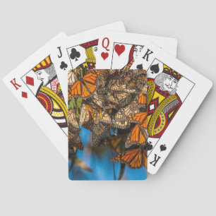 Wanderfalter-Monarchschmetterlinge klammern sich a Spielkarten