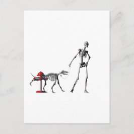 Wanderhund Postkarte
