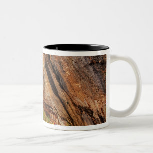 Wandern auf dem Emerald Pools Trail im Zion Nation Zweifarbige Tasse