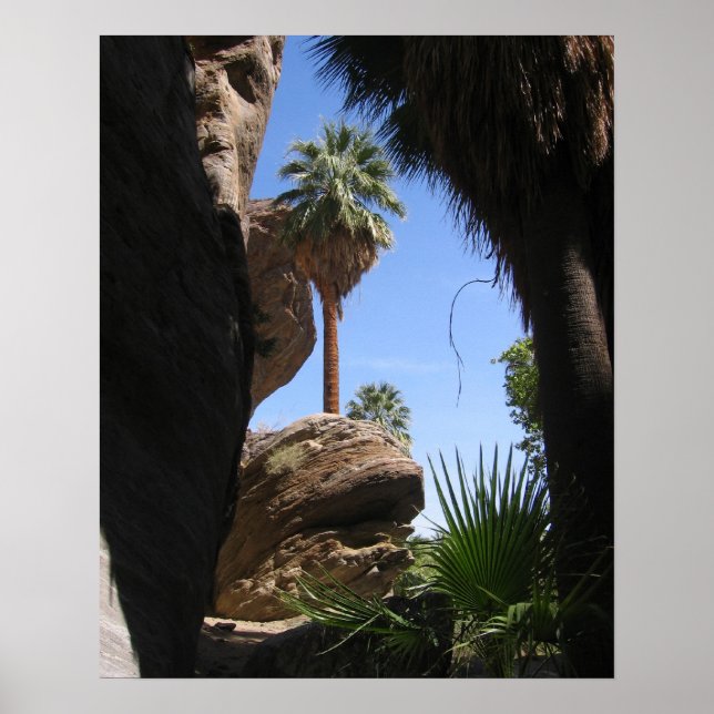 Wandern im Indischen Canyon, Palm Springs, CA, Wüs Poster (Vorne)