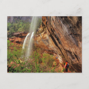 Wandern im Smaragdgrünen Poolbereich im Zion Natio Postkarte