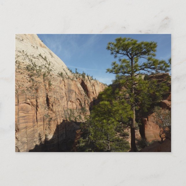 Wandern im Val Piora Nationalparkprojekt des Zion Postkarte (Vorderseite)