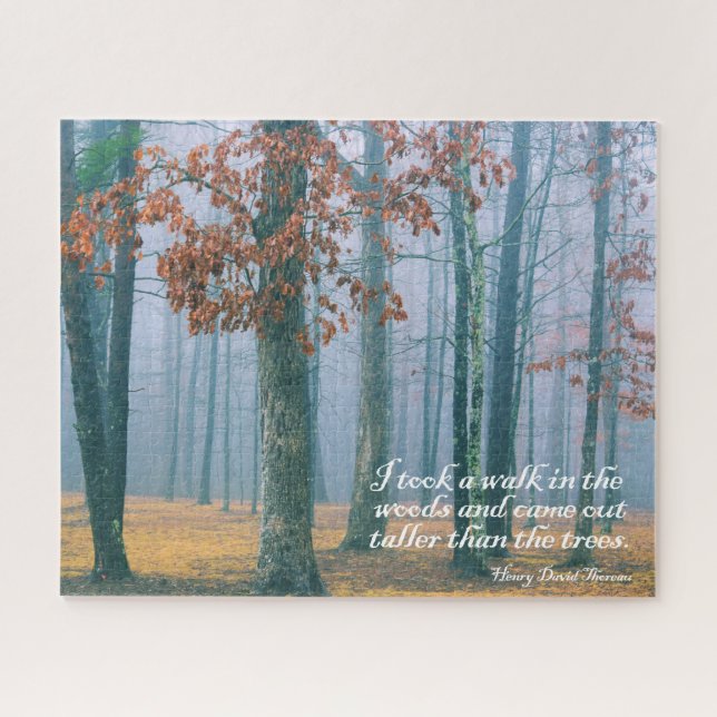 Wandern im Wald - 16x20 - 520 Stk. (Horizontal)