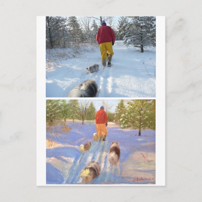 Wandern im Wald Postkarte (Vorderseite)