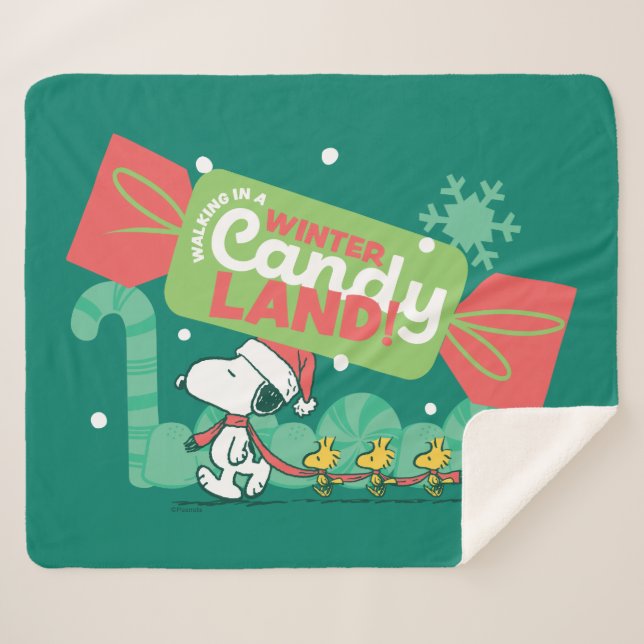 Wandern in einem winterlichen, feinen Land! Sherpadecke (Vorderseite (Horizontal))