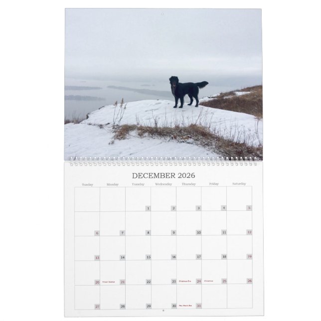 Wandern mit dem Hazel 2022 Kalender (Dez 2026)