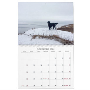 Wandern mit dem Hazel 2022 Kalender