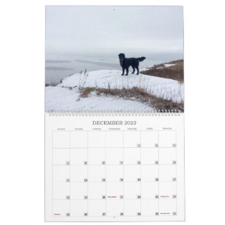 Wandern mit dem Hazel 2022 Kalender