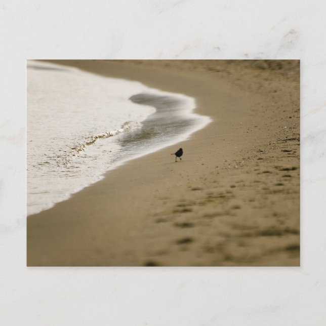 Wandern Postkarte (Vorderseite)